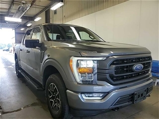 2023 Ford F-150 for sale in Morristown TN