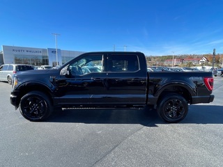 2023 Ford F-150 for sale in Dandridge TN