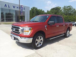 2023 Ford F-150 for sale in Manchester TN