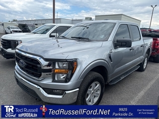2023 Ford F-150 for sale in Knoxville TN