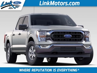 2021 Ford F-150 for sale in Minong WI