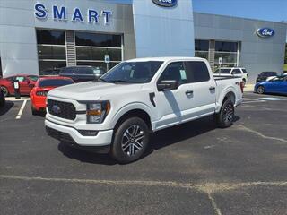 2023 Ford F-150 for sale in Malvern AR