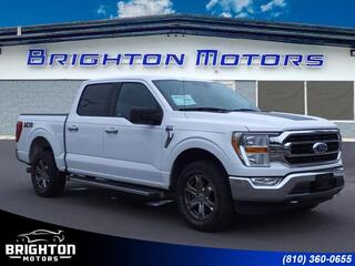 2021 Ford F-150 for sale in Brighton MI