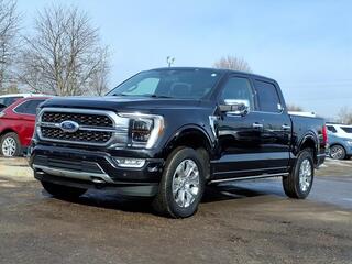 2022 Ford F-150 for sale in Farmington Hills MI