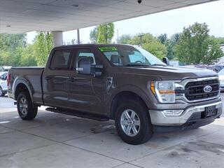 2022 Ford F-150 for sale in Brighton MI