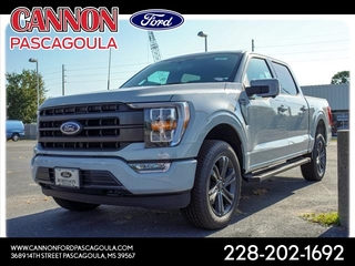 2023 Ford F-150 for sale in Orange TX