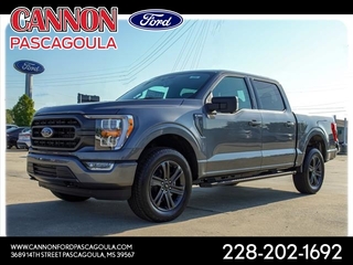 2023 Ford F-150 for sale in Orange TX