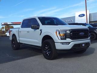 2023 Ford F-150 for sale in Bowling Green KY