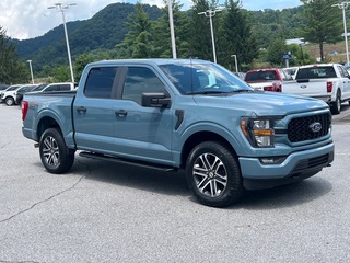 2023 Ford F-150 for sale in Canton NC