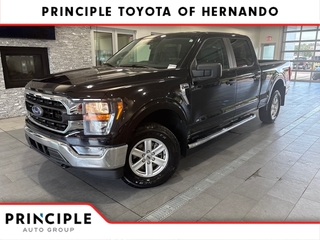 2023 Ford F-150 for sale in Hernando MS