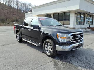 2023 Ford F-150 for sale in Tazewell VA