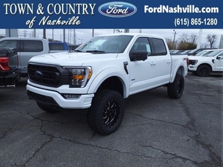 2023 Ford F-150 for sale in Brentwood TN