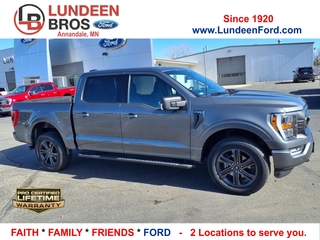 2022 Ford F-150 for sale in Annandale MN