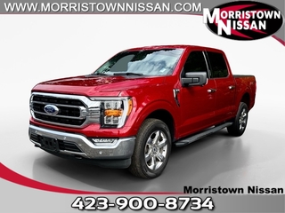 2022 Ford F-150 for sale in Morristown TN
