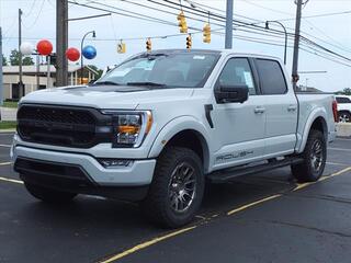 2023 Ford F-150 for sale in Woodhaven MI