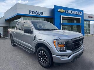 2023 Ford F-150 for sale in Powderly KY