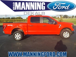 2023 Ford F-150 for sale in Des Plaines IL