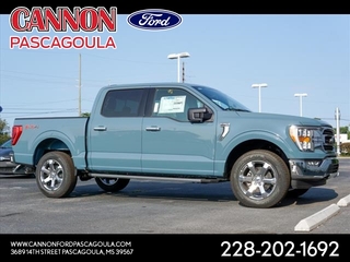 2023 Ford F-150 for sale in Orange TX