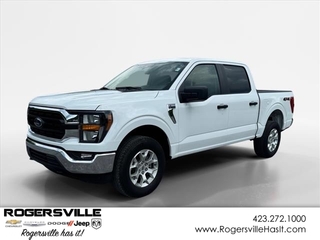 2023 Ford F-150 for sale in Rogersville TN