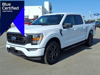 2023 Ford F-150 for sale in Fowlerville MI