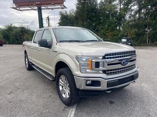 2018 Ford F-150 for sale in Dothan AL