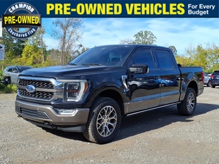 2022 Ford F-150 for sale in Howell MI