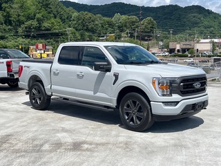 2023 Ford F-150 for sale in Waynesville NC