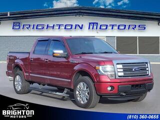 2014 Ford F-150 for sale in Brighton MI