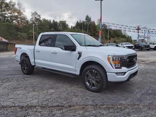 2021 Ford F-150 for sale in Ripley WV