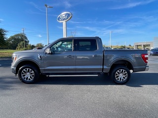 2022 Ford F-150 for sale in Dandridge TN