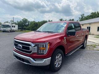 2022 Ford F-150 for sale in Martinsburg WV