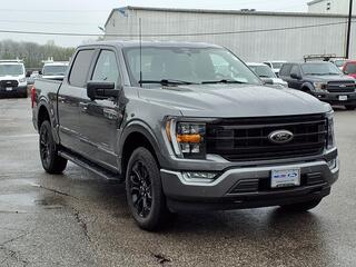 2023 Ford F-150 for sale in Independence MO