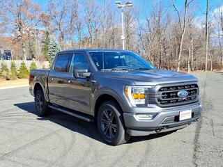 2023 Ford F-150 for sale in Greenbrook NJ