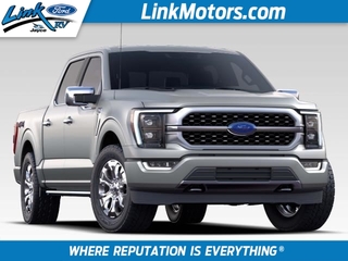 2023 Ford F-150 for sale in Minong WI