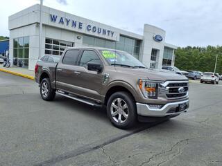 2023 Ford F-150 for sale in Honesdale PA