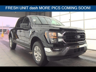 2023 Ford F-150 for sale in Dallas TX