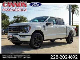 2023 Ford F-150 for sale in Orange TX