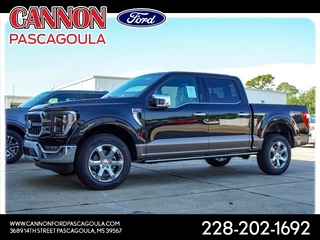 2023 Ford F-150 for sale in Orange TX