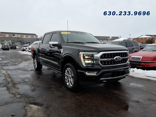 2023 Ford F-150 for sale in Carol Stream IL