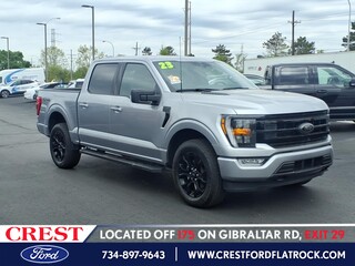 2023 Ford F-150 for sale in Flat Rock MI