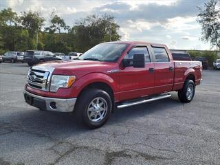 2010 Ford F-150 for sale in Johnson City TN