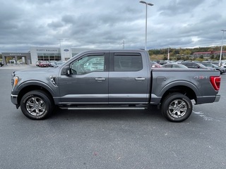 2021 Ford F-150 for sale in Dandridge TN