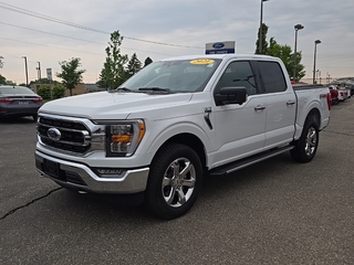 2021 Ford F-150 for sale in Janesville WI