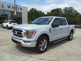 2021 Ford F-150 for sale in Manchester TN