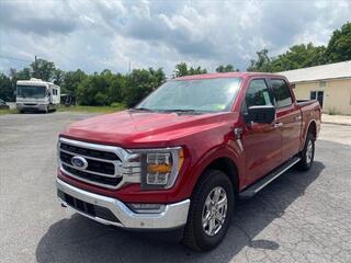 2022 Ford F-150 for sale in Martinsburg WV