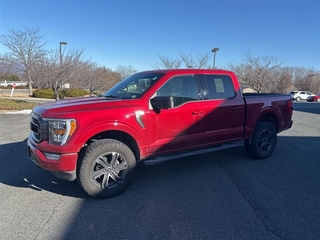 2022 Ford F-150 for sale in Chatsworth GA