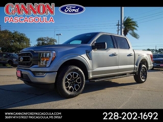 2023 Ford F-150 for sale in Orange TX