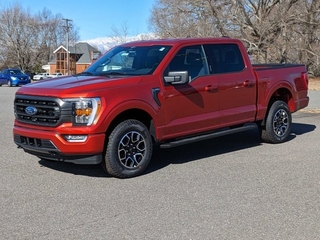 2023 Ford F-150 for sale in Shelby NC