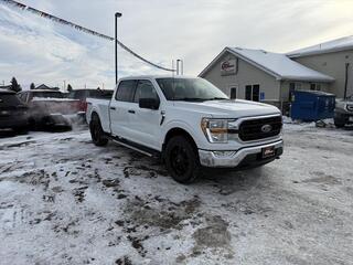 2021 Ford F-150 for sale in Buffalo MN