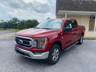 2022 Ford F-150 for sale in Martinsburg WV